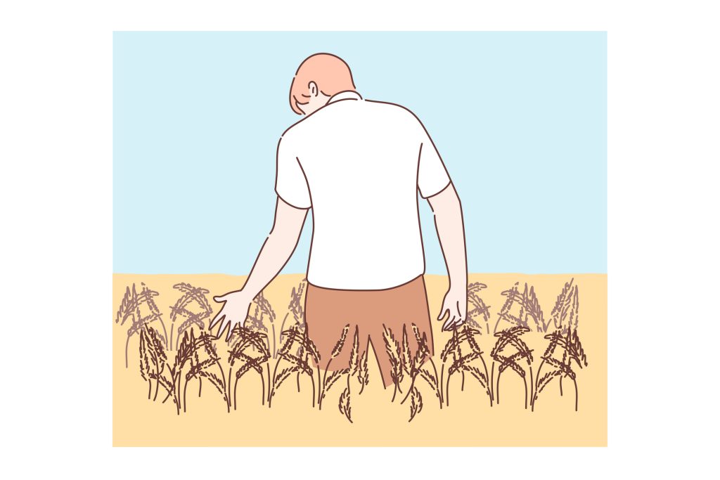 Apanhador no Campo de Centeio